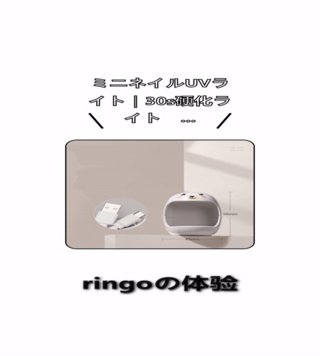 実物検証