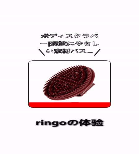 実物検証