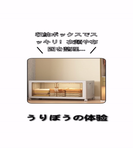 実物検証
