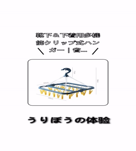 実物検証