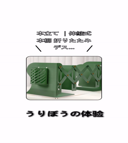 実物検証