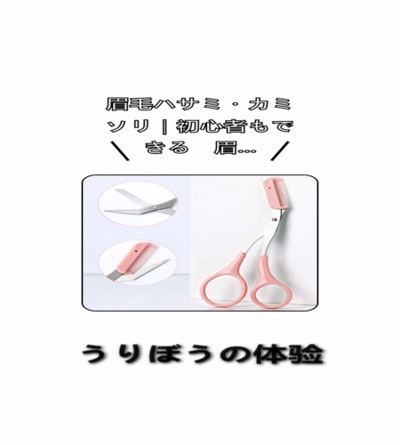 実物検証