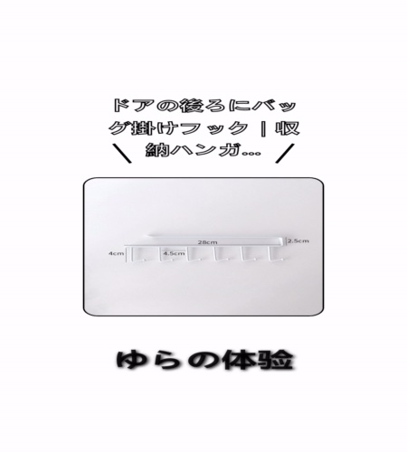 実物検証