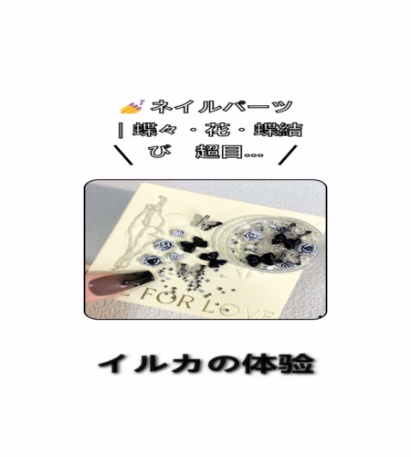 実物検証
