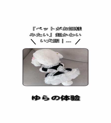 実物検証