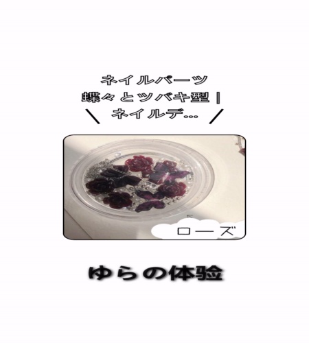 実物検証