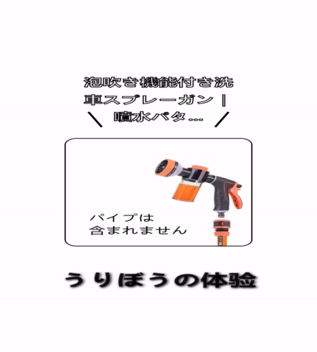実物検証