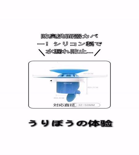 実物検証