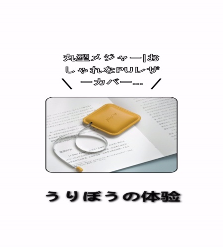 実物検証