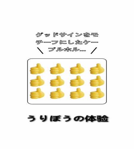 実物検証