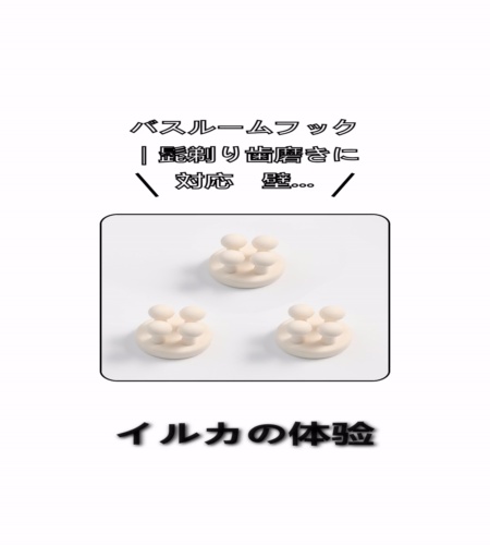 実物検証