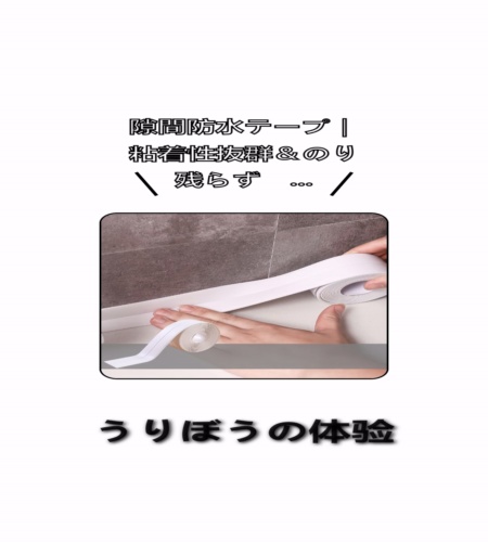 実物検証
