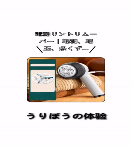 実物検証