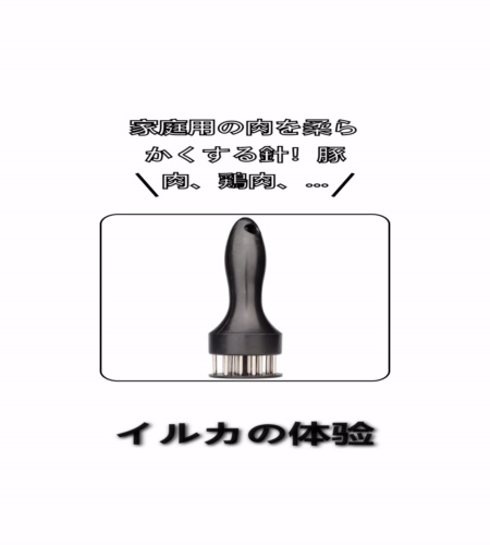実物検証