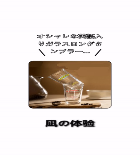 実物検証