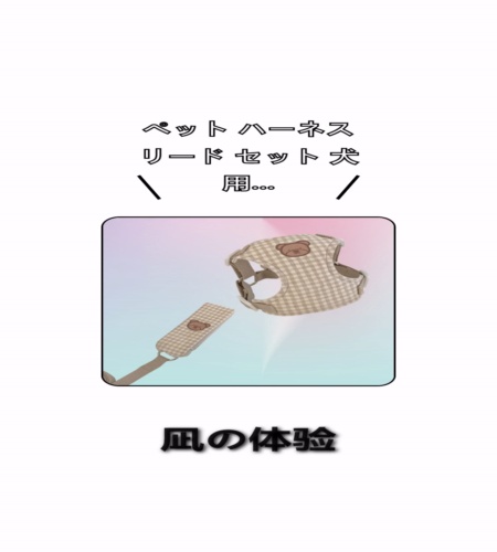 実物検証