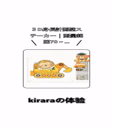 実物検証