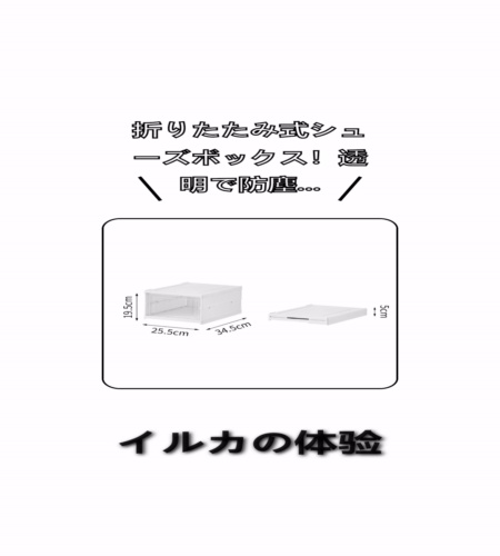 実物検証