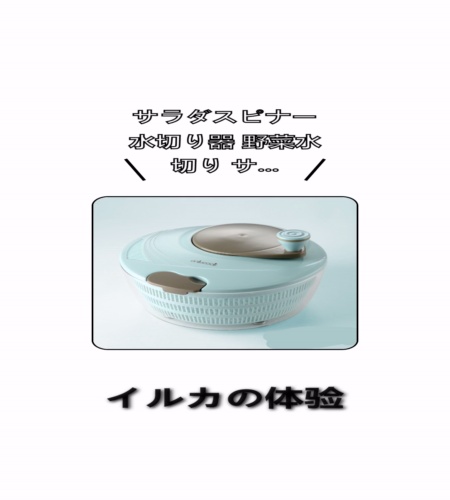 実物検証