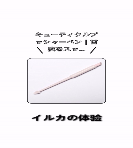 実物検証