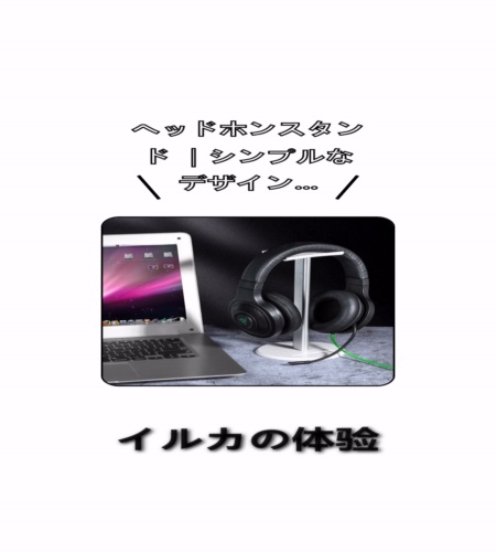 実物検証
