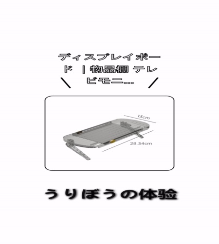 実物検証