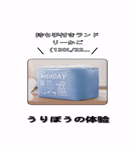 実物検証