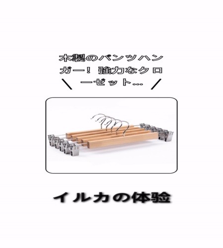 実物検証