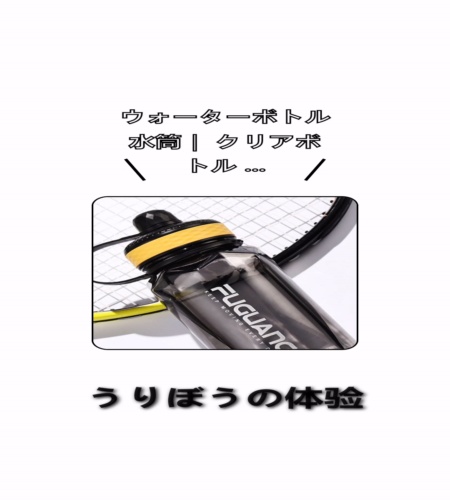 実物検証