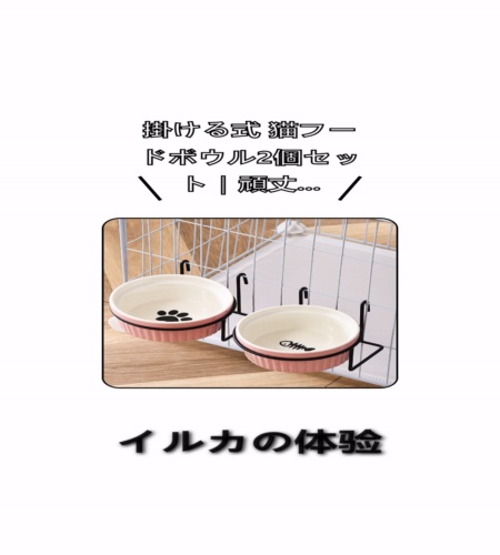 実物検証