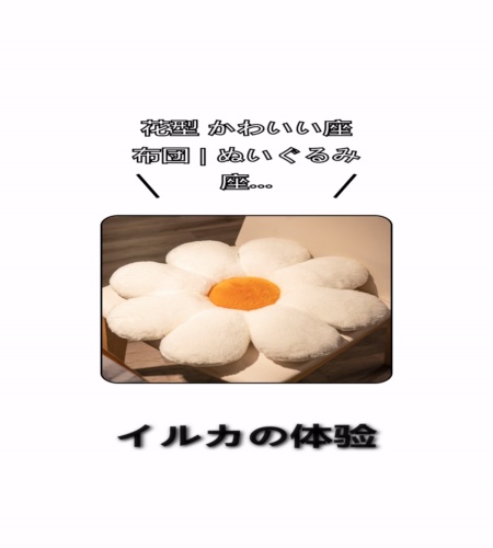 実物検証