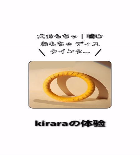 実物検証