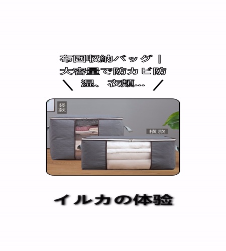 実物検証