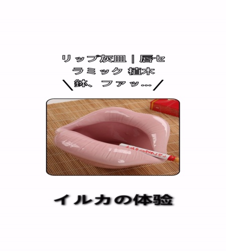 実物検証