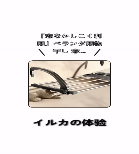 実物検証