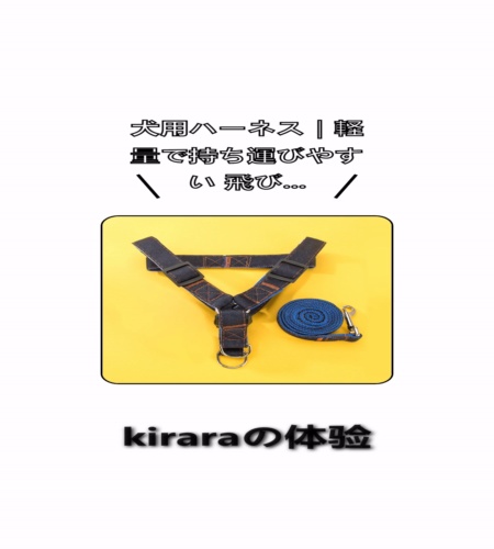 実物検証