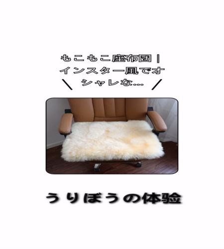 実物検証