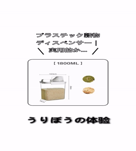 実物検証