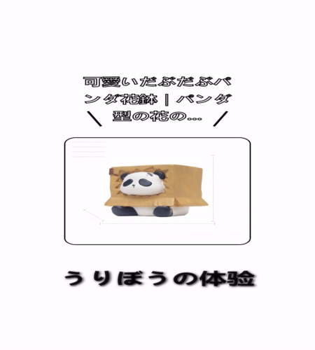 実物検証