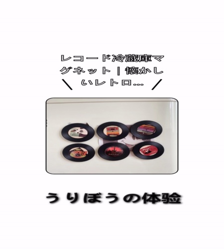 実物検証