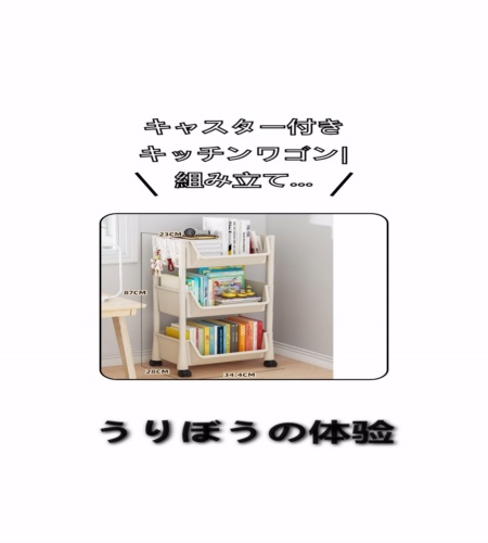 実物検証