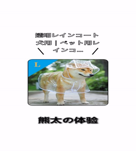 実物検証