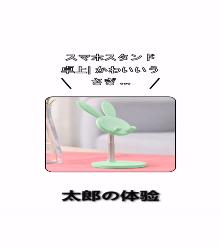 実物検証