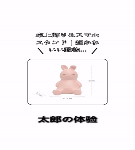 実物検証