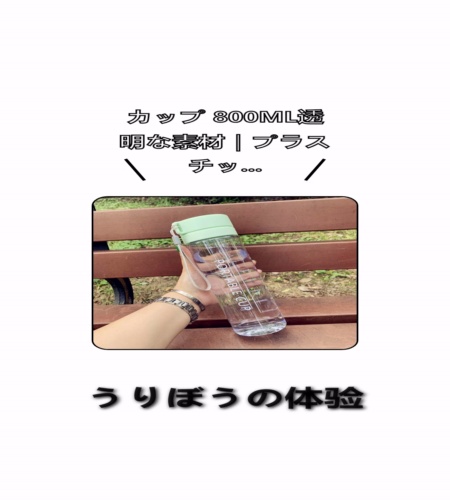 実物検証