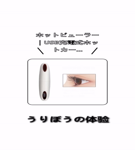 実物検証