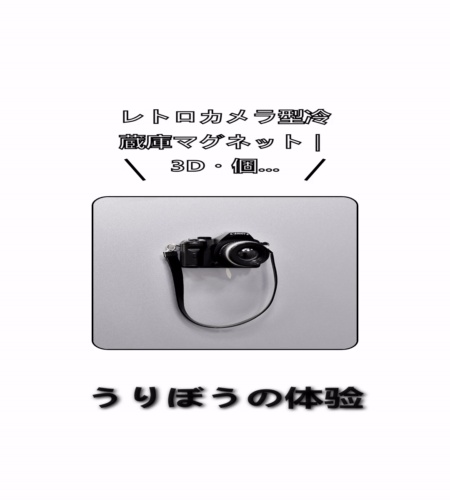 実物検証