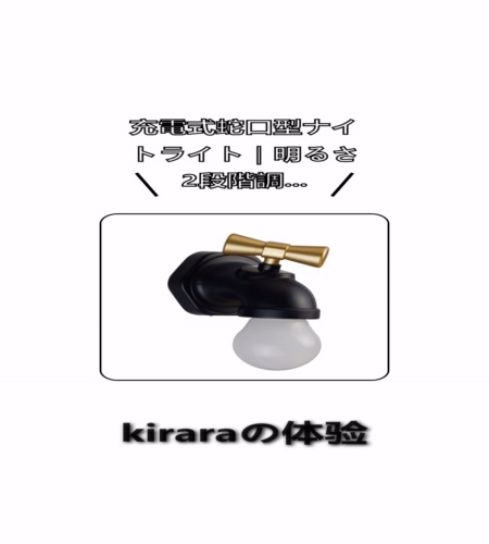 実物検証