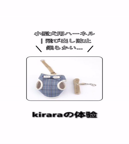 実物検証