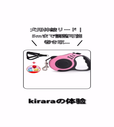 実物検証